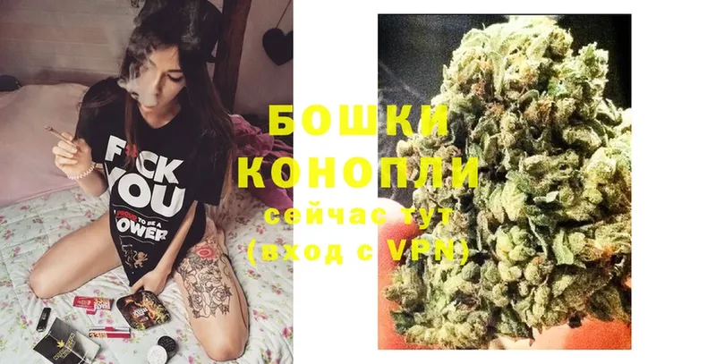 Бошки марихуана OG Kush  МЕГА ONION  Егорьевск  где купить наркоту 